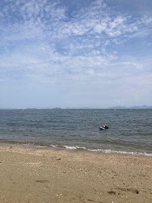 海