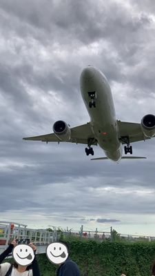 飛行機